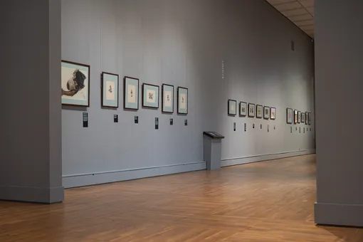 В Третьяковке открылась выставка «Фото[графическое] путешествие»