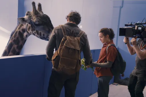 В финальном эпизоде The Last of Us появился настоящий жираф. Его готовили к съемкам полтора месяца