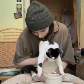 Познакомьтесь с котом-гончаром Момо. Он помогает хозяйке лепить горшки и собирает миллионы лайков