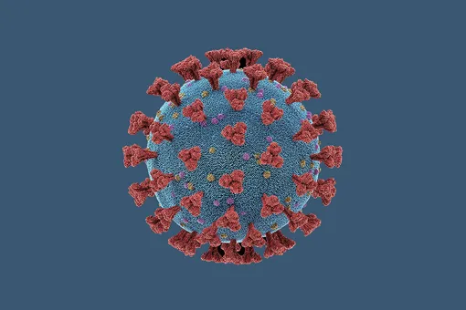Коронавирус к 9 июля: число заразившихся в мире превысило 12 миллионов человек. В Испании вновь начала расти заболеваемость