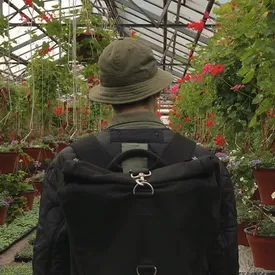 Флора и фауна: 4 занятия, которые помогут наладить контакт с природой