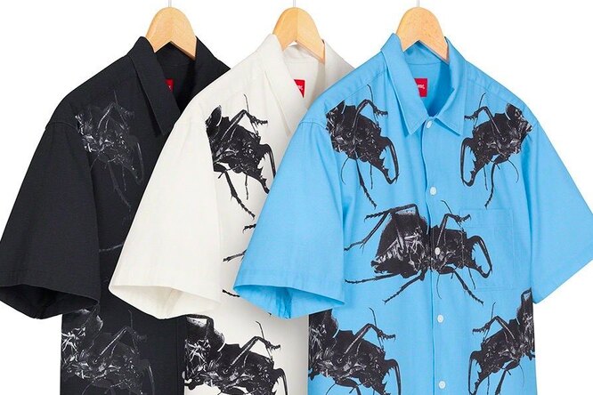 Supreme выпустили совместную коллекцию с группой Massive Attack Supreme выпустили совместную коллекцию с группой Massive Attack