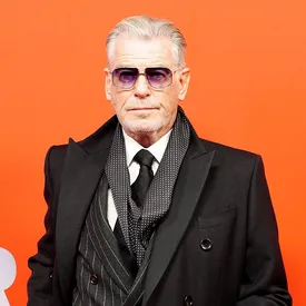 Пирс Броснан назвал слияние Netflix и Warner Bros. «тревожным»