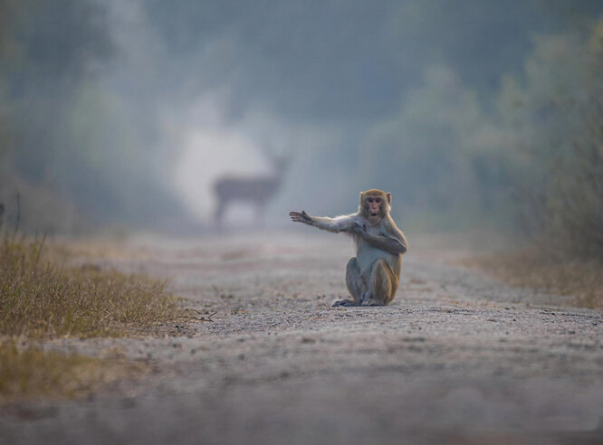 Turn right Bro... Turn right Bro...
