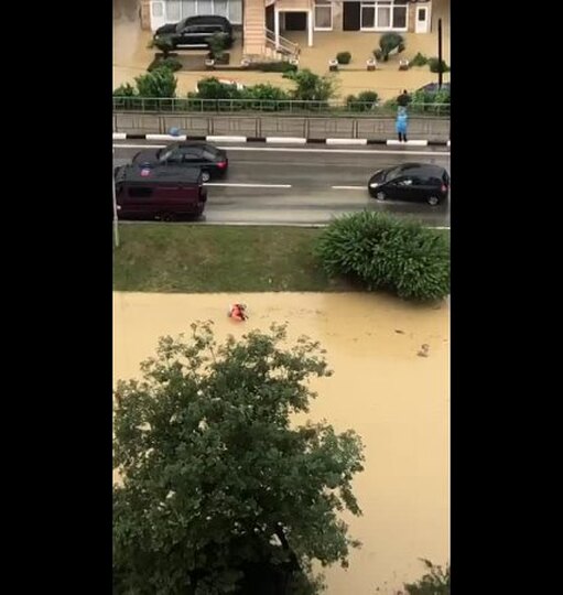 Смотреть
