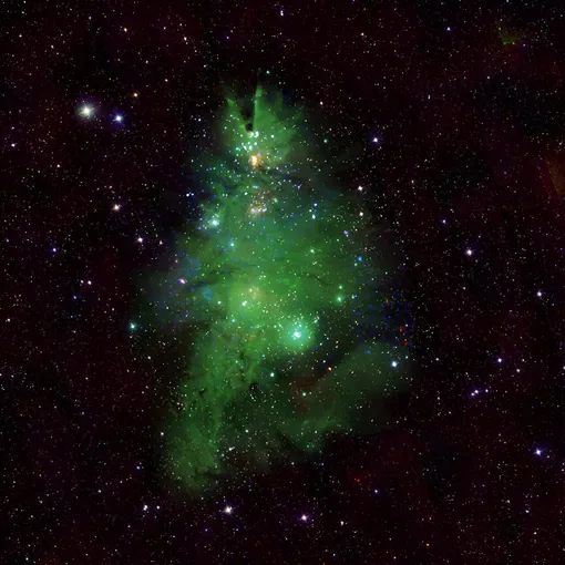 NGC 2264