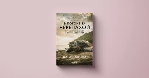 Книга Карл Сафина, «В погоне за черепахой: путешествие длиной в 200 миллионов лет»