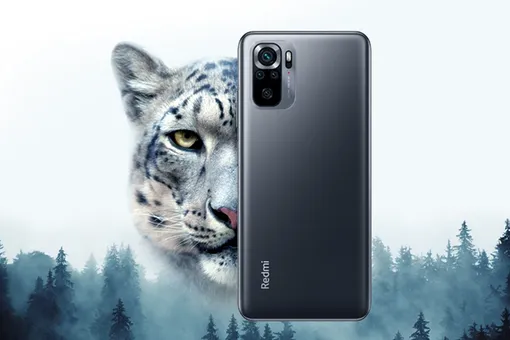 Xiaomi поможет WWF России спасти снежных барсов Xiaomi поможет WWF России спасти снежных барсов