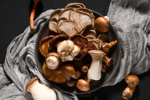 В Японии 70-летний мужчина отравился ядовитыми грибами, которые посоветовал ему собрать ИИ В Японии 70-летний мужчина отравился ядовитыми грибами, которые посоветовал ему собрать ИИ