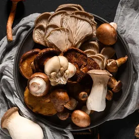 В Японии 70-летний мужчина отравился ядовитыми грибами, которые посоветовал ему собрать ИИ