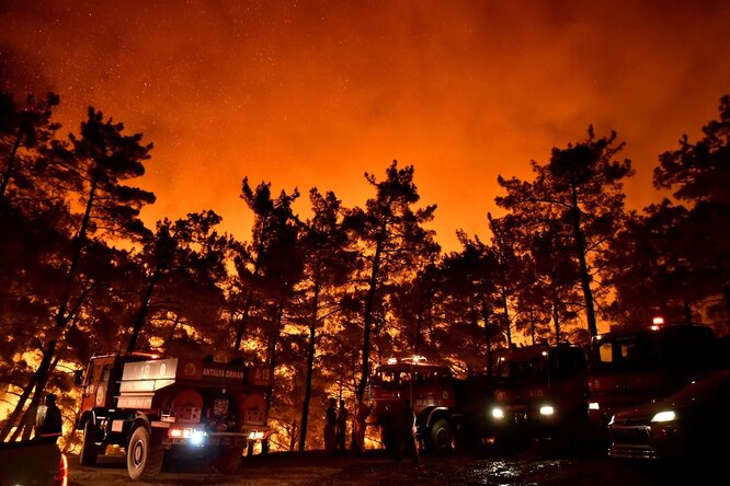 В Анталье вспыхнул крупный лесной пожар. Пострадали полсотни человек и десятки гектаров леса, а туристы продолжают отдыхать на фоне красного неба