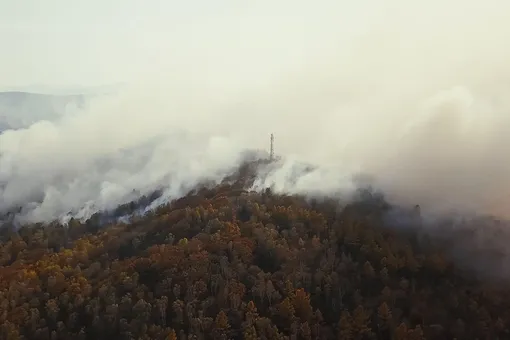 CNN: дым от лесных пожаров в Якутии достиг Аляски