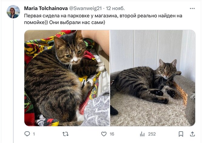 Соцсети Соцсети