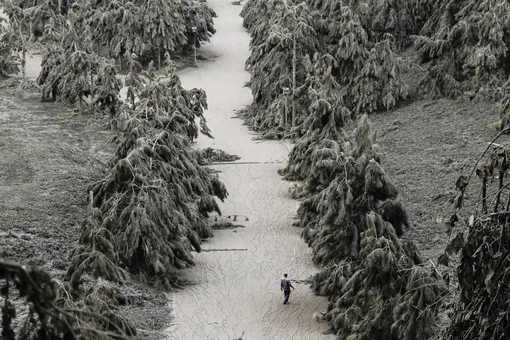 A man walks on a road blanketed with volcanic ash from the erupting Taal Volcano in Tagaytay, Philippines, January 14, 2020. REUTERS/Eloisa Lopez