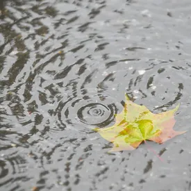 Синоптики предупредили о «температурном градиенте» в Московском регионе: 8 июля разница температур в отдельных районах может достигать 15 градусов Синоптики предупредили о «температурном градиенте» в Московском регионе: 8 июля разница температур в отдельных районах может достигать 15 градусов