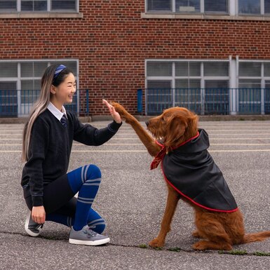 Пользовательница TikTok научила свою собаку Добби заклинаниям из «Гарри Поттера». Ее ролик за пару недель набрал миллионы просмотров