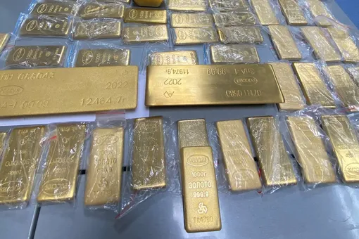 Во Внуково 6 человек пытались вывезти в ОАЭ 225 кг золота на 800 миллионов рублей