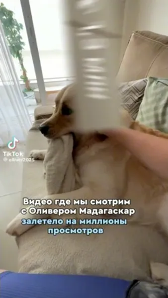 Смотреть Смотреть
