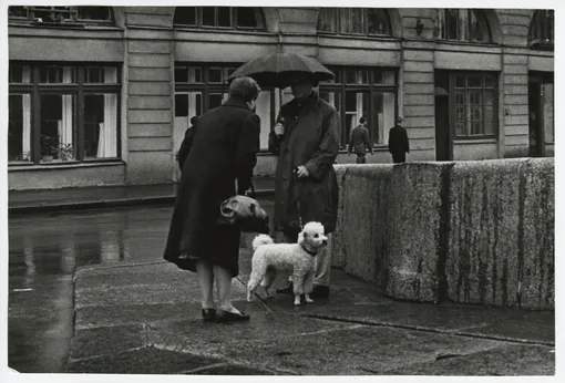 Всеволод Тарасевич. Мужчина с пуделем. 1965.