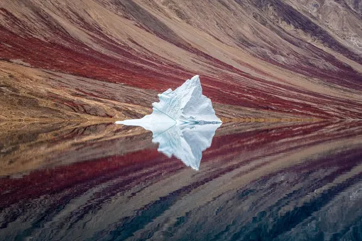 Landscape: Ice Reflections by Craig McGowan (Australia)An image of a solitary iceberg, set against the fjord walls in North-East Greenland National Park. The iceberg and surrounding landscape are perfectly mirrored in the clear waters of the river resulting in a painterly and abstract photographPhotograph: Craig McGowan