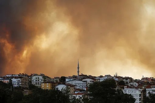 В турецком Мармарисе из-за лесных пожаров начали эвакуировать отели