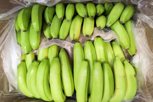Полиция Новой Зеландии обнаружила рекордную партию кокаина в коробках с бананами