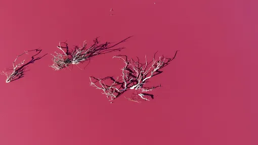 Вид с воздуха на лагуну Корфо, которая порозовела из-за химических отходов, в Трелью, Чубут, Аргентина, 29 июля 2021 года.
