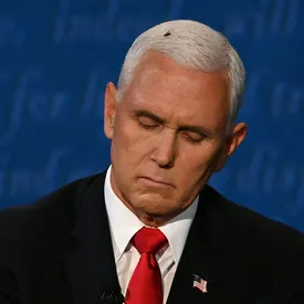 На дебатах кандидатов в вице-президенты США, кажется, победила муха — демократу и республиканцу не удалось привлечь такое же внимание публики