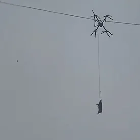 В Китае свинья на дроне оставила сотни людей без электричества