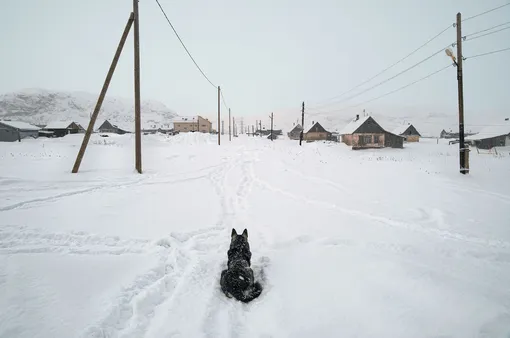 Териберка