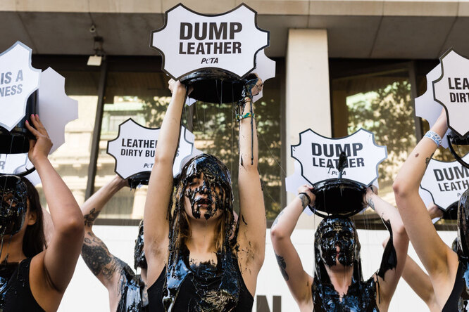 Активисты протестуют против использования кожи в модной индустрии,