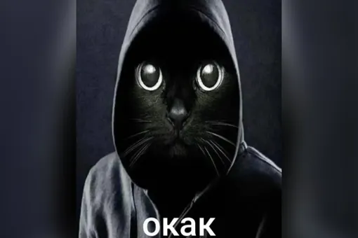 соцсети соцсети