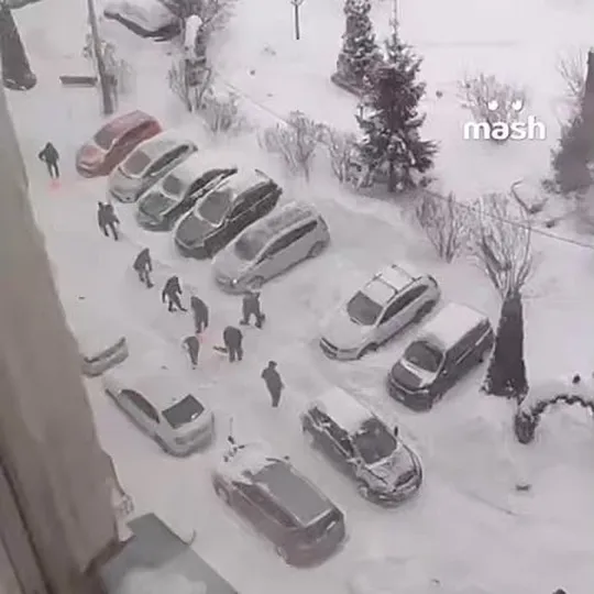 Смотреть Смотреть