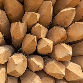 Спрос на осиновые колья среди россиян вырос в четыре раза за год