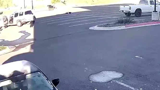 Смотреть Смотреть