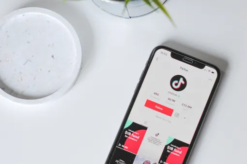 Как смотреть и загружать видео в TikTok в 2023 году: инструкция