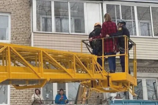 В Подмосковье девушка залезла на дерево, чтобы спасти кошку, но застряла сама