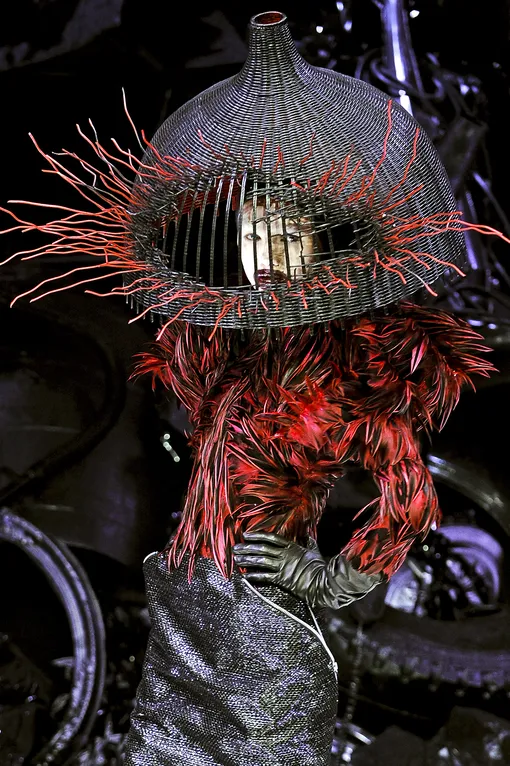 Alexander McQueen осень-зима 2009 Alexander McQueen осень-зима 2009