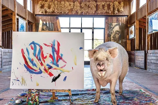 Свинья по кличке Пигкассо заработала на продаже своих картин более $1 млн