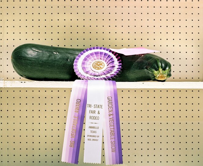 Цукини, победивший в конкурсе овощей. «Ярмарка трех штатов». Амарилло, штат Техас.