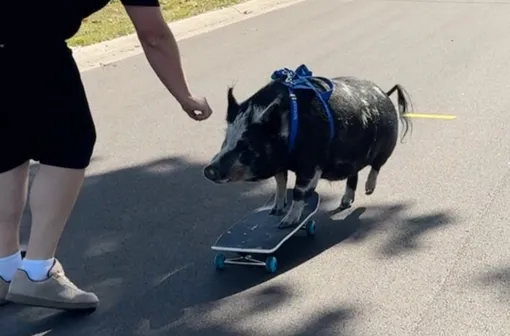 guinnessworldrecords.com guinnessworldrecords.com