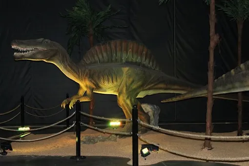 Для фанатов «Парка юрского периода»: на аукцион выставили около 80 моделей динозавров в натуральную величину