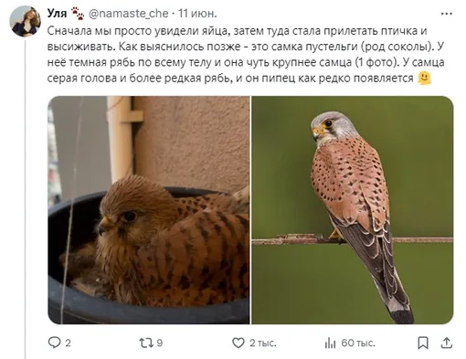 Соцсети Соцсети